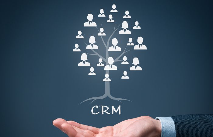 seo e crm